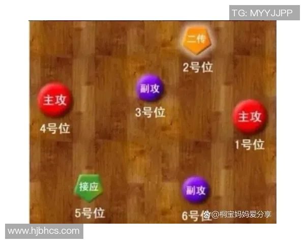 专业解读：南京排球队的进攻打法_1